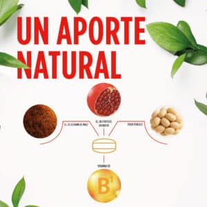 Controlcol Fitosteroles